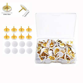 厂家包塑图钉大头钉白色图钉盒装绘画板图钉照片墙图片钉办公钉