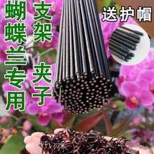 蝴蝶兰花支架兰夹子支撑杆植物爬藤花卉弯曲固定专用铁丝支架园艺