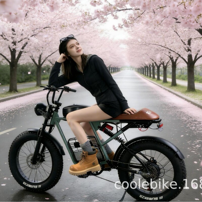 Taiwan's High-Quality Fat-Tire Lithium Battery Electric Bicycle Super73 Beach and Snow Off-Road Electric Bike with Pedals Taiwan's High-Quality Fat-Tire Lithium Battery Electric Bicycle Super73 Beach and Snow Off-Road Electric Bike with Pedals