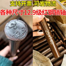 �����C�Ғ��N���r�C�̶�����ƽ�^�A���N�S���I�S12.9���ߏ�����N