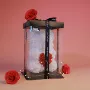 爱心生日节日链接pe花