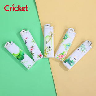 cricket���������Cһ����ɰ݆�����w��W�t����₀�Ըߙn