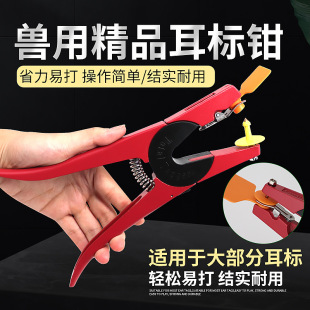 ��������Q�i�����Q�F�û؏������Q��̖�Q�iţ���ö����Q