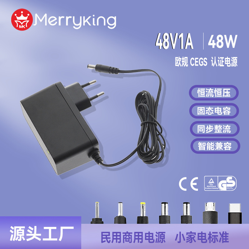 48V1A power adapter European gauge side plug-in CE GS certification constant current constant voltage power over Ethernet POE