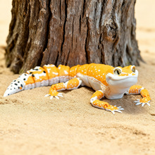 3D��ӡ���y�،m �P���Ʉ����k�������ģ��С�[��ˇ�gƷ ���նY��