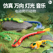 �羳���N�f�����܇�������Є����������ģ����Ů����ͯ늄����