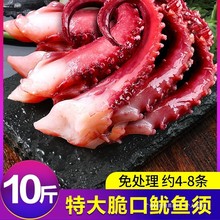 ������~����r���~���צ�~���r�������~�10���r�����~���^���_