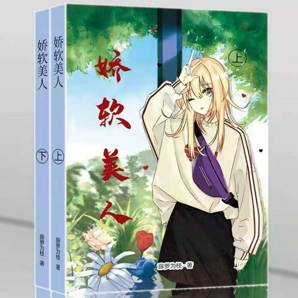 2 soft beauty books
