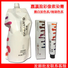 嘉瀛盈彩像素染膏批发发廊专用染发剂多段色盖白发单支染膏微潮色