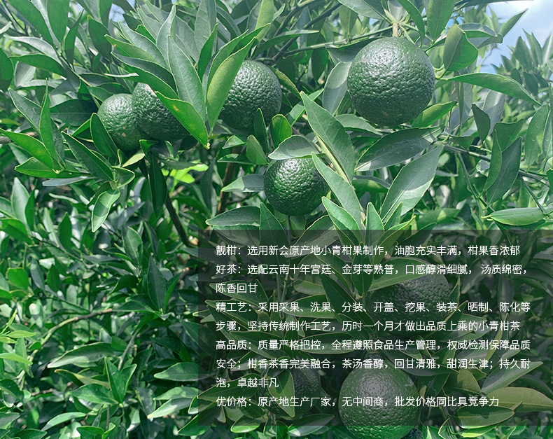 小青柑普茶_02.jpg