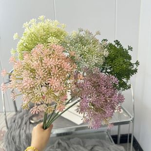 ��ֻҰ�˻������ѹ�Ӣ�ѼҾ��b[����c·�����߲廨�����[����