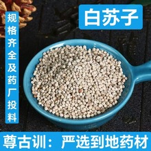 白苏子 净货无杂 中药材    玉苏子 白苏子   承接订单