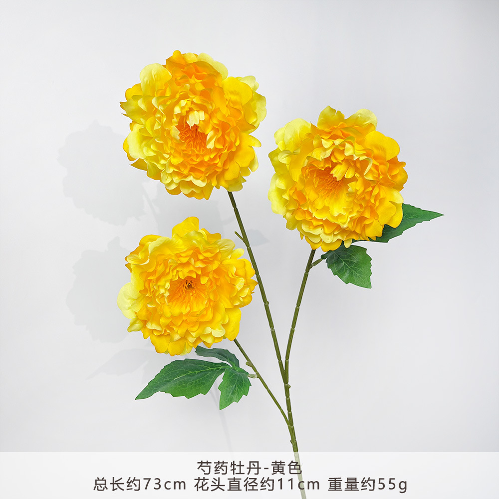 YN-芍药牡丹-黄色