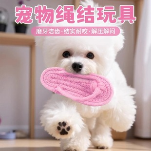 ���������ҧ�Y�K������Ь�̹�ĥ��̩�ϱ�����С��Ȯ�␞����Ӗ��