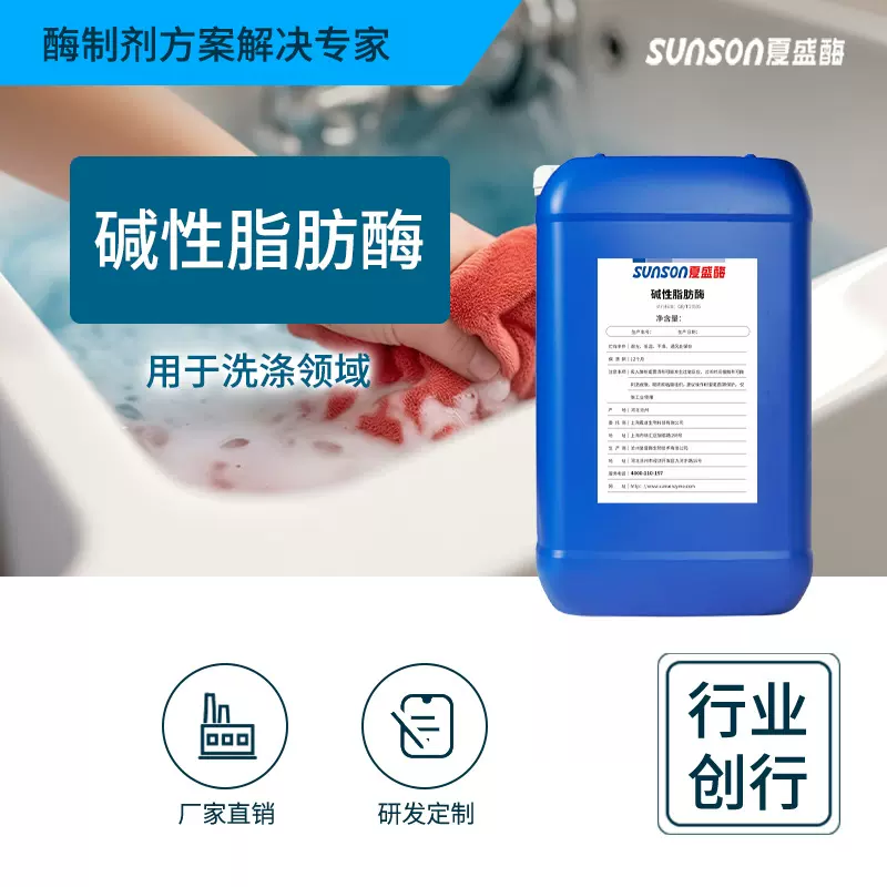 夏盛工业级碱性脂肪酶 新型洗涤酶温和去脂肪油脂污渍污酶制剂