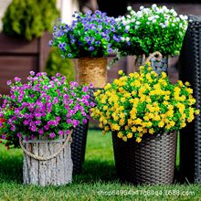 ��������ȼ���Сɏ�������[������軨�ҾӼٻ��[������ˮ�ݏS��