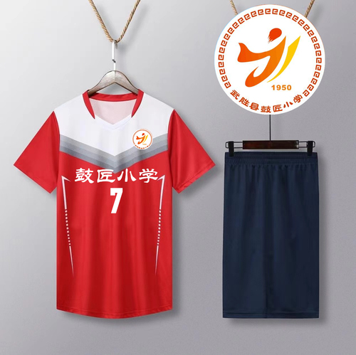 Women's Volleyball Uniform Set Custom Printed Competition Team Apparel Indoor Volleyball Sport Men and Women's Professional Short Sleeve Training Top with Number