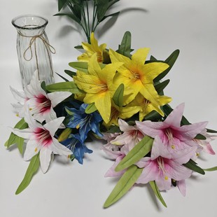 �W�����R�dEBAY�羳���N�L7�^�ϻ��m�ٺϷ��滨�������ò����[��