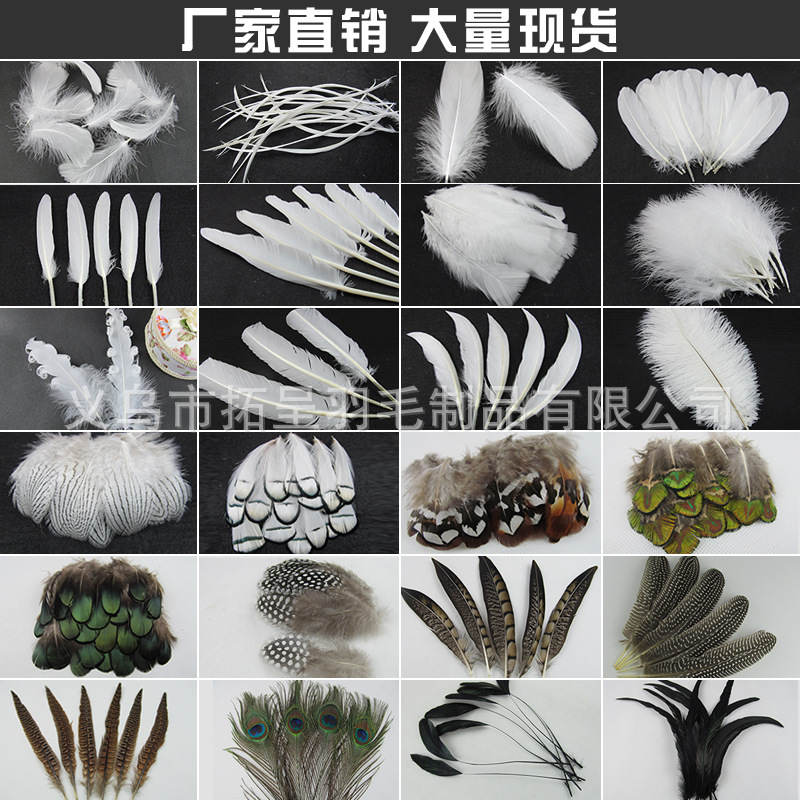 공장 직접 판매 diy 쥬얼리 액세서리 재료 깃털 흰색 웨딩 깃털 칠면조 깃털 거위 깃털 공예 장식