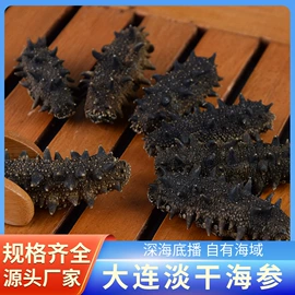 海参