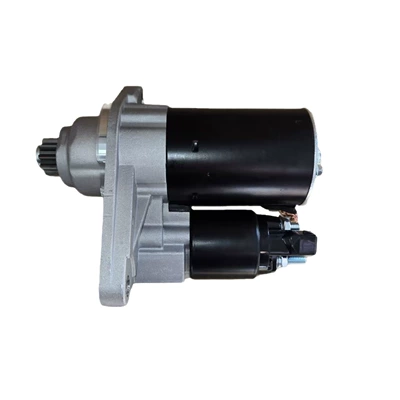 Volkswagen Polo 1.4L, Starter and accessories