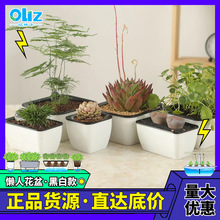 SҬF؛ ڰTˮ❲ˮ϶С