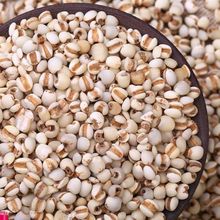 ��؛޲����ܛŴ�ɿ��F�ݳ�С���t��޲��������s�Z�ּZ