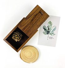 ƺľľUPWood Gift BoxRdߙnСľжusb