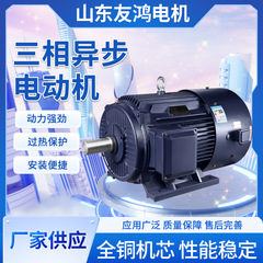 YE3/YE4系列三相异步电动机卧式立式全铜线圈电机厂家直销