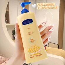 OXYA��ʿ�ֱ��o���w¶�SE�����w�̝��־����㟟�������w��
