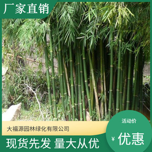 ���������l�� ���󃞻������� ���^�쾰��·�@�ֹ��̾G����