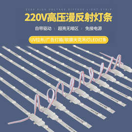 220V高压漫反射灯条卡布灯箱软膜天花卷帘灯led漫反射灯条超高亮