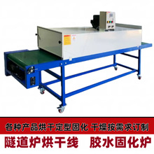 隧道炉烘干线带式烤箱印刷油漆硅胶固化新能源五金件烘道节能高效