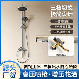 花洒套装家用精铜主体浴室打孔挂墙式增压沐浴器淋浴屏59A铜