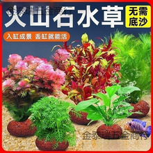 ����ˮ��G���ײ������ݻ�ɽʯˮ���~���쾰ˮ��ֲ�����ˮ�|