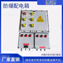 专业设计制造配电箱柜防爆照明动力配电箱检修控制箱 仪表配电箱