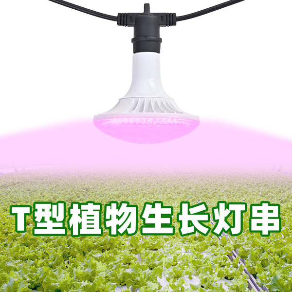 LED fill light