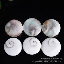 天然水晶太阳贝小号太阳硬贝壳 海螺珊瑚圆形贝壳椭圆DIY吊坠饰品