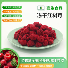 龙海i嘉生冻干红树莓水果干覆盆子甜品烘焙原料批发