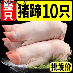��������10ֻ�F�i���i�����rɢ�Bǰ���i��ֻ�����i�_�r�Һ��㚢��