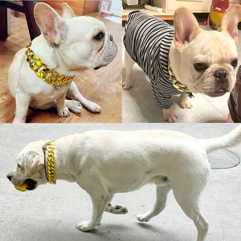 Collar de mascotas de gran tamaño, perros, collares de oro, collares de plástico, matones de pelo dorado, peleas de labrador