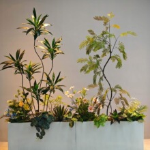 ����Gֲ�쾰�҃�ֲ�ﾰ�^�p�ݼ�ֲ����ػ����쾰�b�