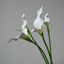 �Ҿ�ܛ�b���滨�ָ��p���R��ɏ��c�������Ӱ巿�b��̄վƵ����