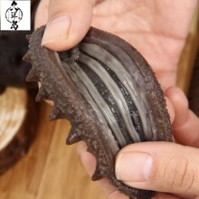 特价海参⚠️券后一口价90元/斤 大连即食海参 批发价格 一件代发