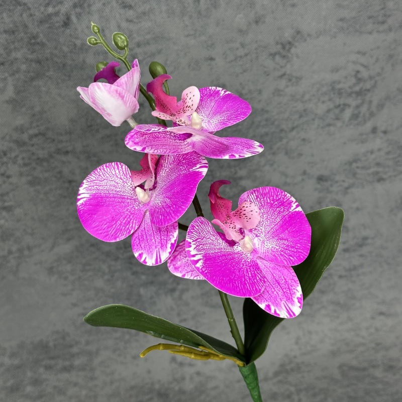 Flores púrpura