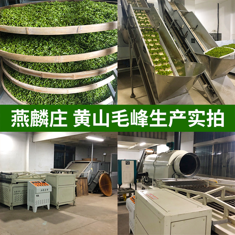 25年新茶 緑茶 黄山毛峰 茶葉卸売 産地直送 茶葉卸売 明前茶 鳥舌茶葉 とても美味しい|undefined