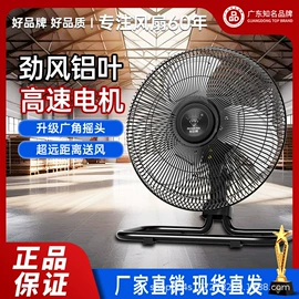 大功率风扇;电风扇;工业风扇
