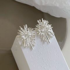銀の針の超きらめくのは花火の花のピアスを入れます。