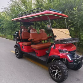 高尔夫球车;其他电动车