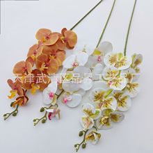 �zƬ��֦9�^�����m3D��ӡ�ָз�������m�����쾰���Q�ٻ����l